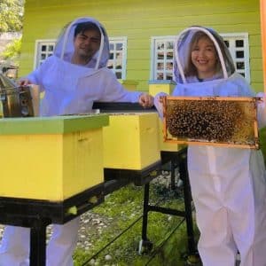 Basic Beekeeping