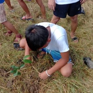 Tree Planting Activity